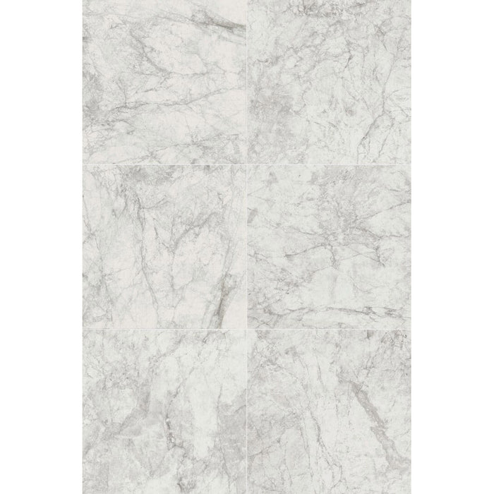 Tamiami - Contact 24" x 48" Porcelain Tile - Stone White