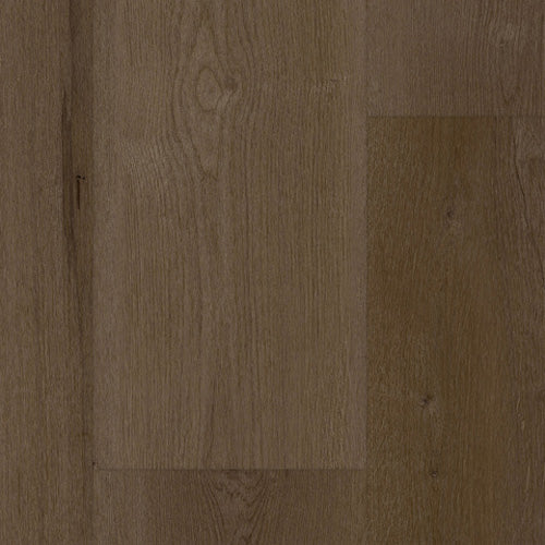 Tarkett - EverGen - 9 in. x 60 in. - Waterproof Luxury Vinyl Plank - Noble Natural
