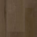 Tarkett - EverGen - 9 in. x 60 in. - Waterproof Luxury Vinyl Plank - Noble Natural