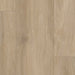 Tarkett - ProGen Plus - 9 in. x 60 in. - SPC Luxury Vinyl Plank - Bespoke Oak Celestial