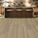 Tarkett - ProGen Plus - 7 in. x 60 in. - SPC Luxury Vinyl Plank - Moderne Walnut Sand Room Scene