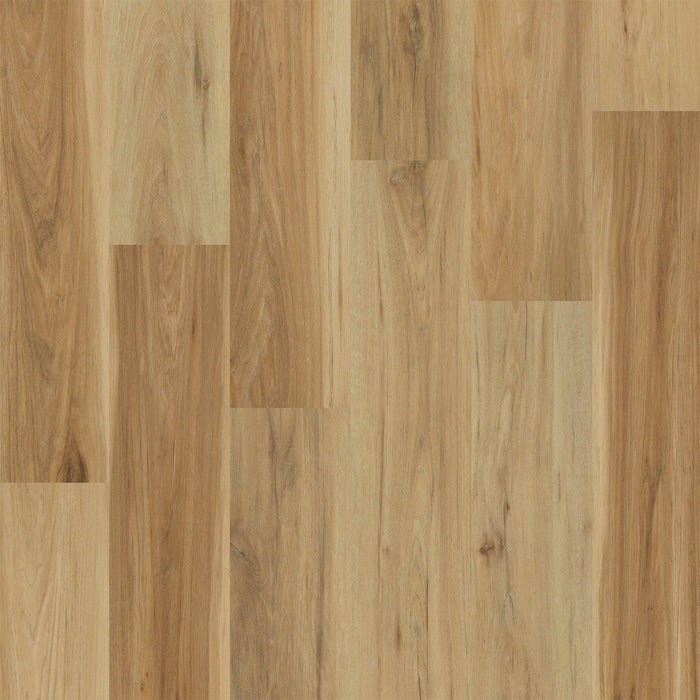 Engineered Floors - Elevate - 9 in. x 60 in. - Luxury Vinyl - Sonesta