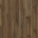 Engineered Floors - Elevate - 9 in. x 60 in. - Luxury Vinyl - Grand Oak