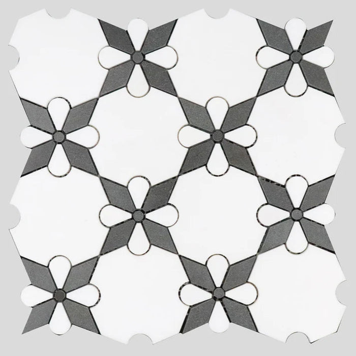 MM Tile and Stone - Thassos Black Rosettes Marble Polished Waterjet Mosaic