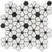 MM Tile and Stone - Thassos & Black Flower Field Marble Polished Waterjet Mosaic
