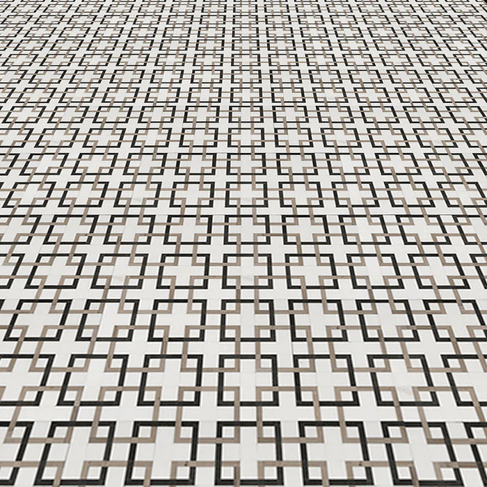 MM Tile and Stone - Thassos, Black & Grey Labyrinth Marble Polished Waterjet Mosaic Installed