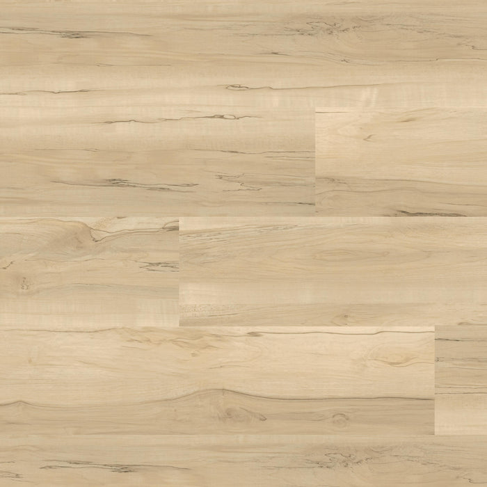 MSI - Nove Plus Luxury Vinyl Plank - Akadia