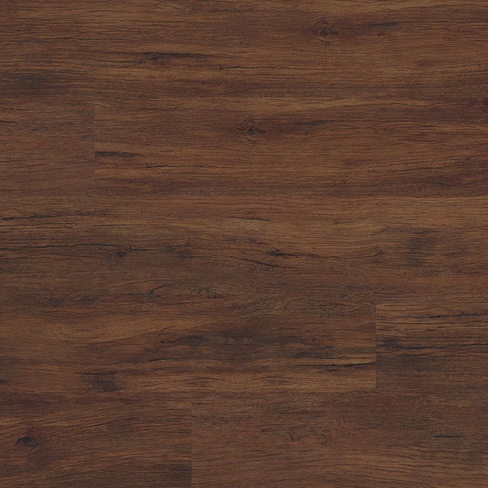 MSI - Dryback - Glenridge Series - Amer Oak