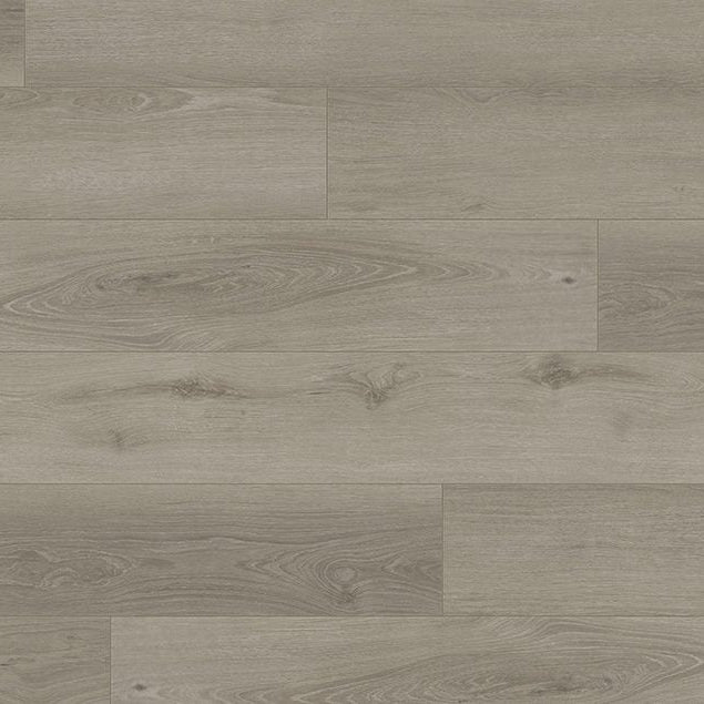Audacity - Audacity One Collection - 6.4 in. SPC Rigid Core LVP - Ellington