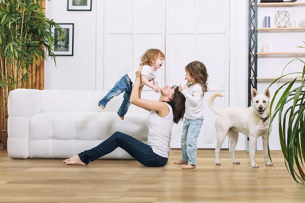 MSI - Nove Luxury Vinyl Plank - Bayhill Blonde floor installation