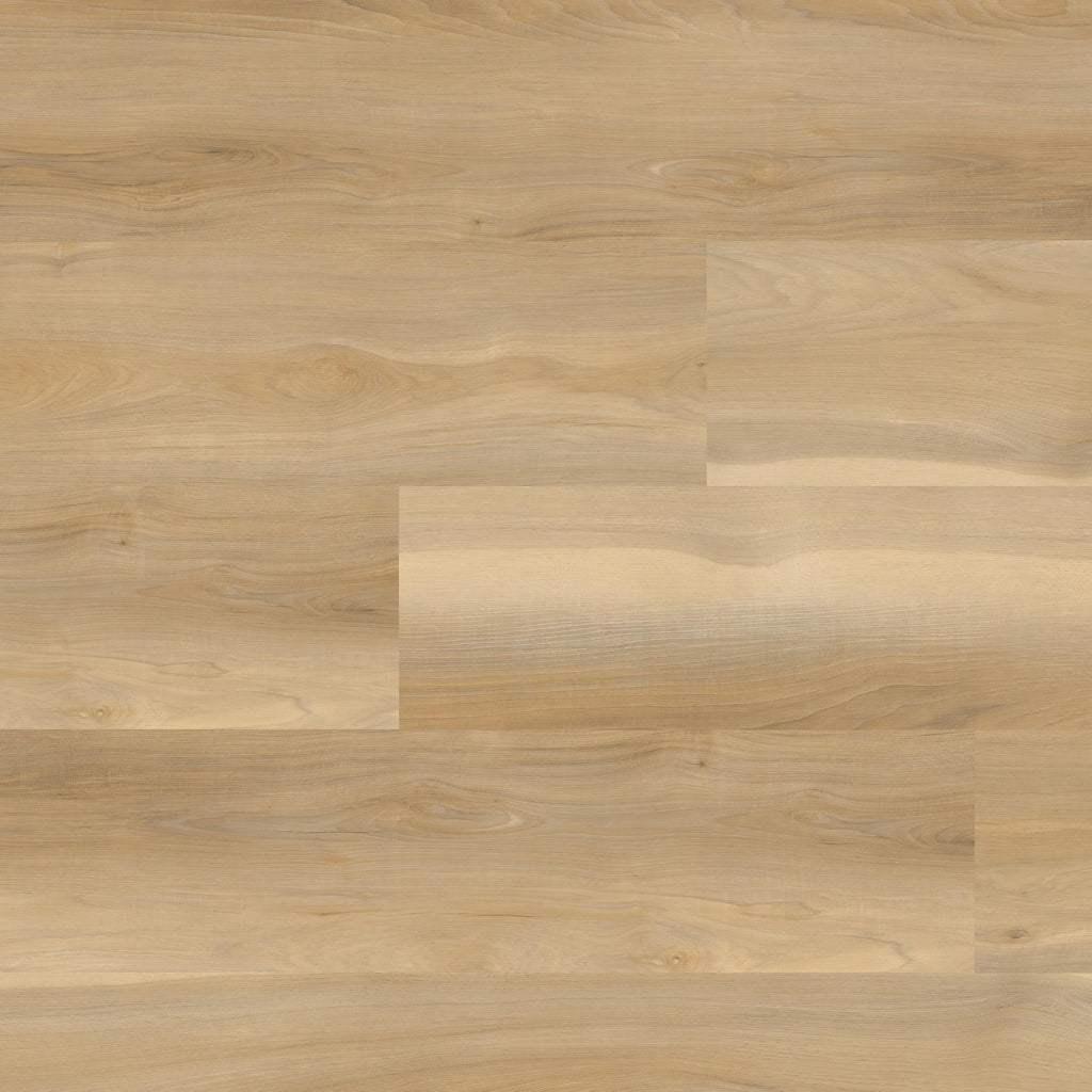 MSI - Nove Plus Luxury Vinyl Plank - Bayhill Blonde — Floorzz