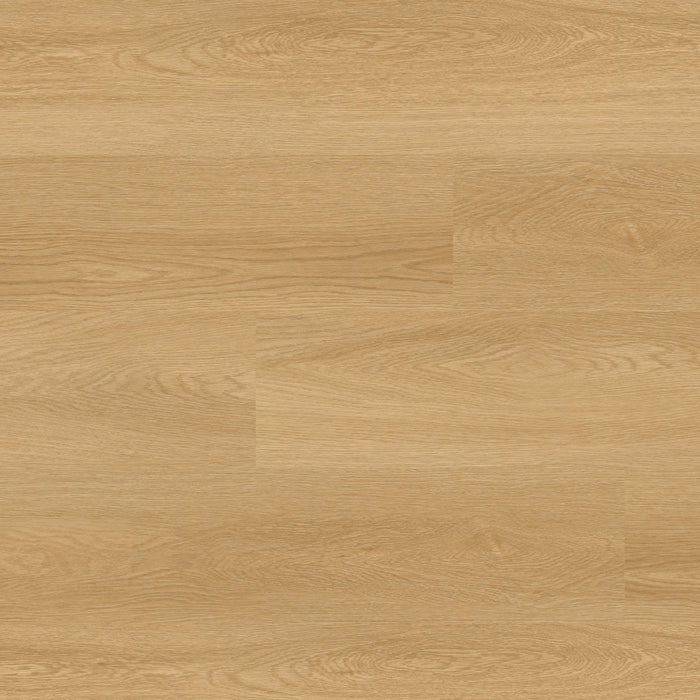 MSI - Nove Plus Luxury Vinyl Plank - Bayside Buff
