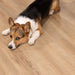 CALI Floors - Longboard Icons Collection - 9 in. x 72 in. WPC Flooring - Aerial Oak Pet Friendly