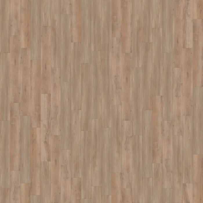 CALI Floors - Longboard Icons Collection - 9 in. x 72 in. WPC Flooring - Aerial Oak Variation