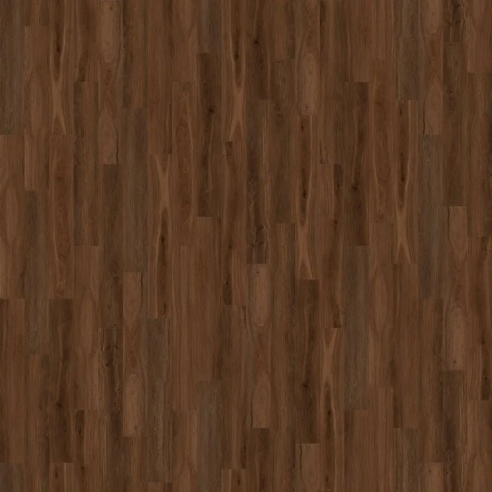 CALI Floors - Longboard Icons Collection - 9 in. x 72 in. WPC Flooring - Cayucos Cave Variation View