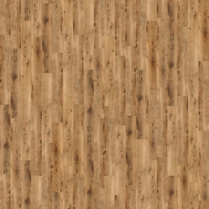 CALI Floors - Longboard Icons Collection - 9 in. x 72 in. WPC Flooring - Knotted Nook Variation View