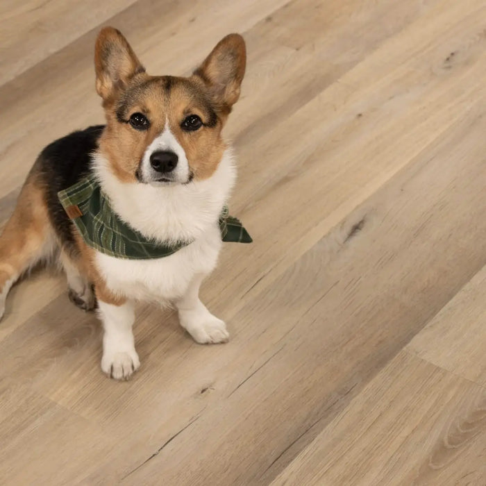 CALI Floors - Longboard Icons Collection - 9 in. x 72 in. WPC Flooring - Malibu Swell Pet Friendly