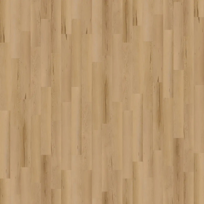 CALI Floors - Longboards® Collection - 9 in. x 70 in. SPC Flooring - Morro Beige Variation View