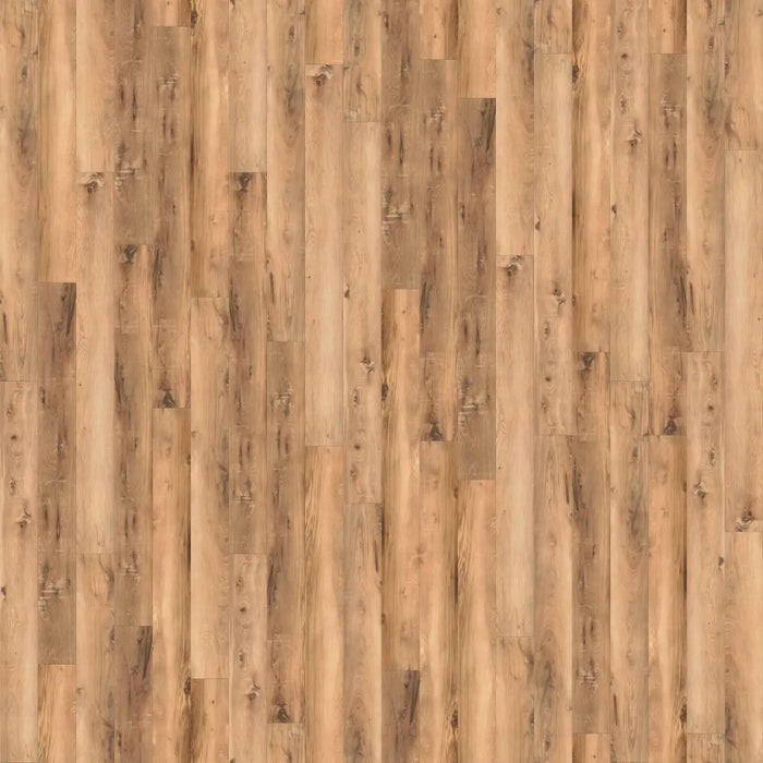 CALI Floors - Longboards® Collection - 9 in. x 70 in. SPC Flooring - North Shore Oak Variation View