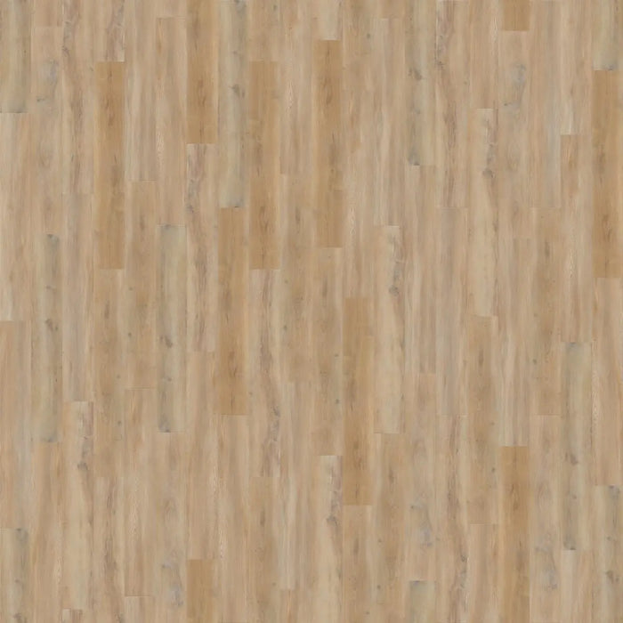 CALI Floors - Longboards® Collection - 9 in. x 70 in. SPC Flooring - Reefwood Variation View
