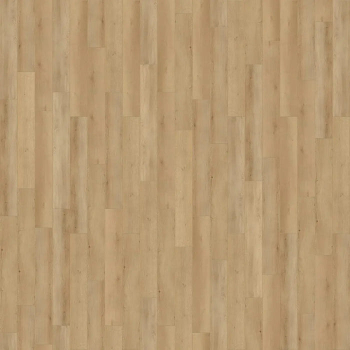 CALI Floors - Longboards® Collection - 9 in. x 70 in. SPC Flooring - Sandbar Oak Variation
