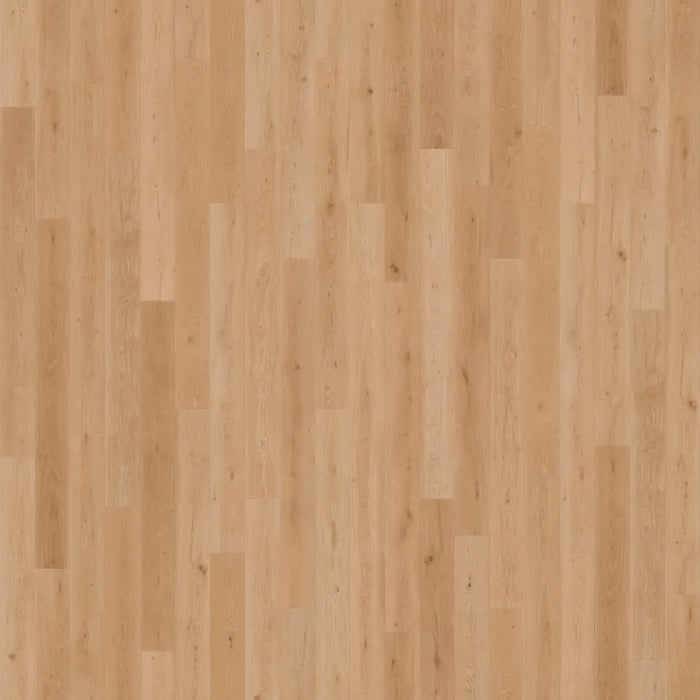 CALI Floors - Mavericks Collection - 9.5 in. x 86.5 in. Laminate Flooring - Harbor Honey Variation View