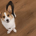 CALI Floors - Mavericks Collection - 9.5 in. x 86.5 in. Laminate Flooring - Montara Oak Pet Friendly