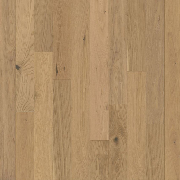 Chesapeake Flooring - Backroads Collection - Engineered Hardwood - Barnwood