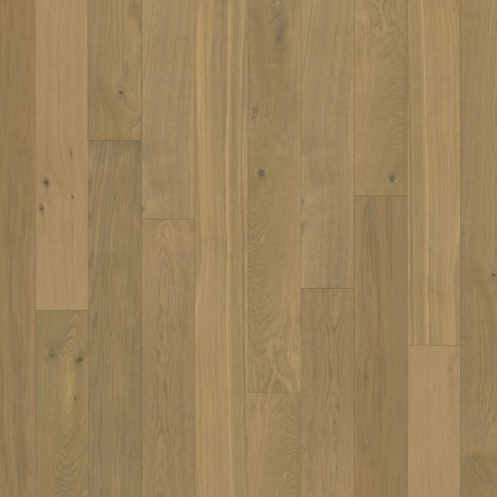 Chesapeake Flooring - Backroads Collection - Engineered Hardwood - Canyon Run