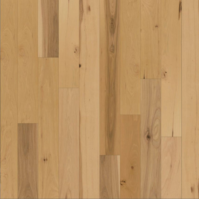 Chesapeake Flooring - Backroads Collection - Engineered Hardwood - Moss Hollow