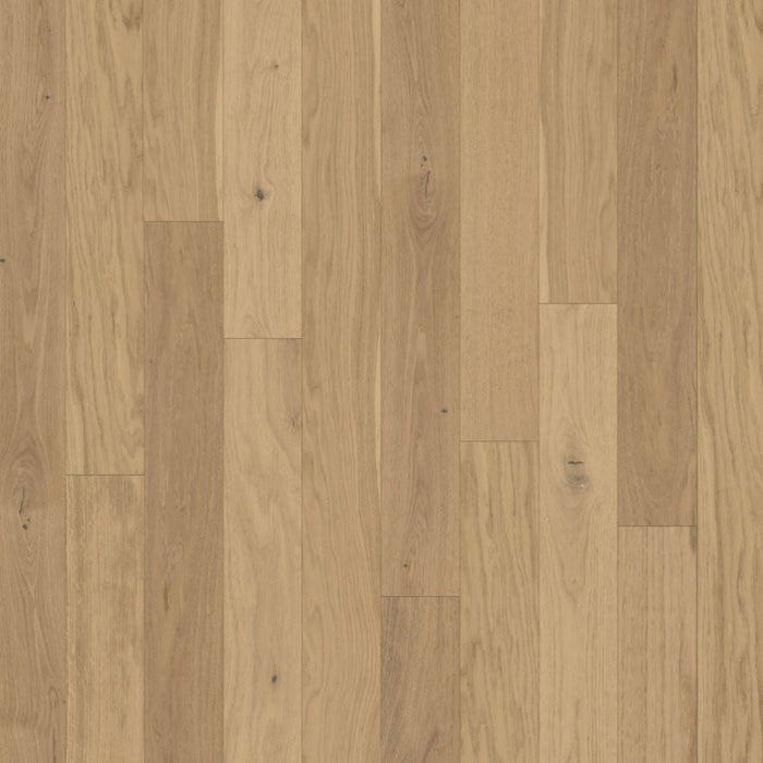 Chesapeake Flooring - Backroads Collection - Engineered Hardwood - Old Stump