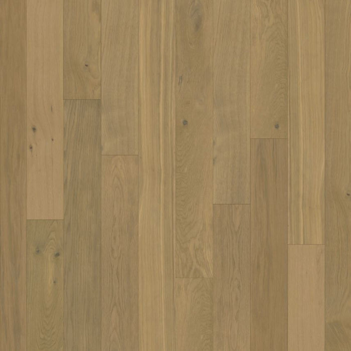 Chesapeake Flooring - Backroads Collection - Engineered Hardwood - Rusted Nail