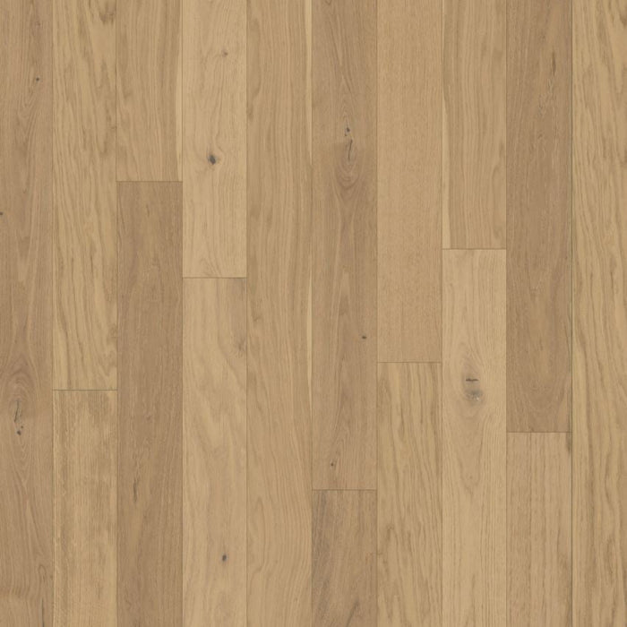 Chesapeake Flooring - Backroads Collection - Engineered Hardwood - Sunset Smoke