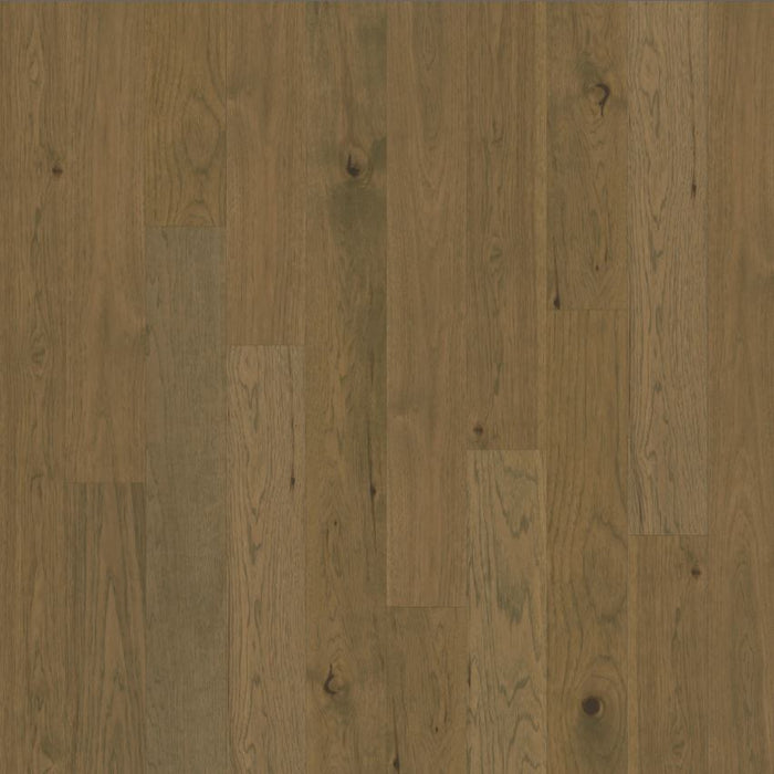 Chesapeake Flooring - Backroads Collection - Engineered Hardwood - Tobacco Ridge