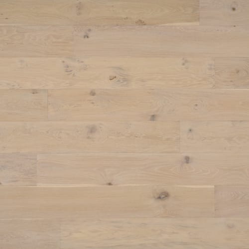 Chesapeake Flooring - Genesis Collection - 8.5 in. Engineered Hardwood - Chillkoot