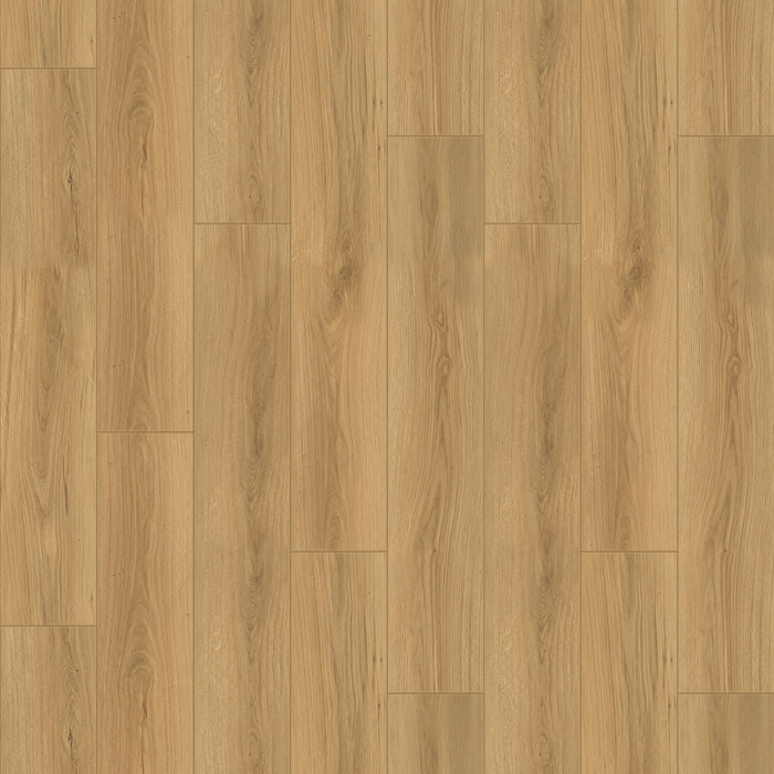 Chesapeake Flooring - Fusion Design XL - Laminate - Acadia