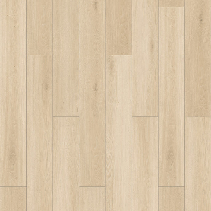 Chesapeake Flooring - Fusion Design XL - Laminate - Shoreline