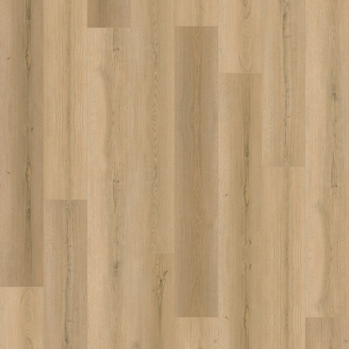 Chesapeake Flooring - Fusion Design XL - Laminate - Thyme