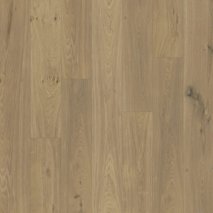 Chesapeake Flooring - Royal Chalet Collection - Engineered Hardwood - Gilded Wilderness