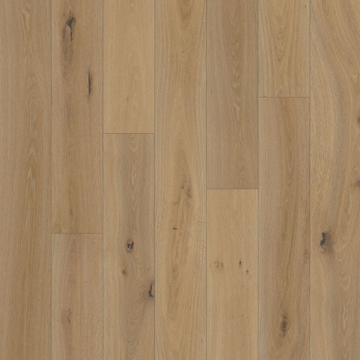Chesapeake Flooring - Royal Chalet Collection - Engineered Hardwood - Opulent Luxury