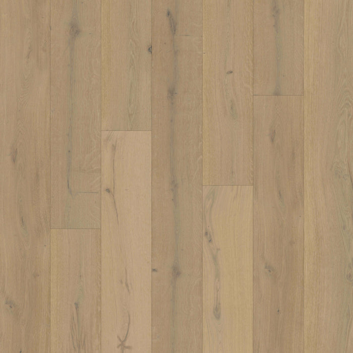 Chesapeake Flooring - Royal Chalet Collection - Engineered Hardwood - Winter's Crown