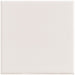 Bellagio - Noelle Collection - 4" x 4" Ceramic Tile - Windall