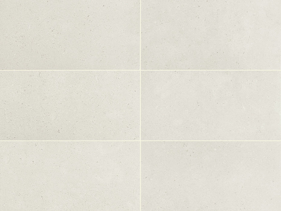Daltile - Outlander 24 in. x 48 in. Porcelain Tile - Palazzo Moonlight