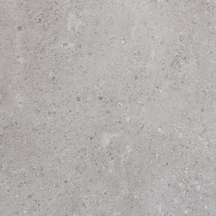 Daltile - Dignitary 24 in. x 24 in. Matte Porcelain Tile - Eminence Grey