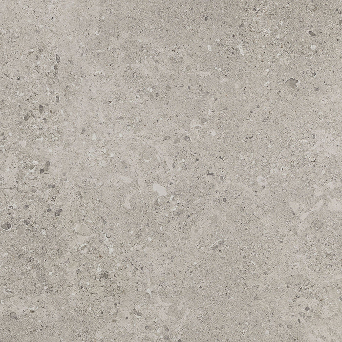 Daltile - Dignitary 24 in. x 24 in. Textured Porcelain Paver - Superior Taupe