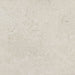 Daltile - Dignitary 24 in. x 24 in. Textured Porcelain Paver - Luminary White