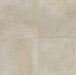 Daltile - Rekindle 24 in. x 24 in. Colorbody Porcelain Tile - Beige