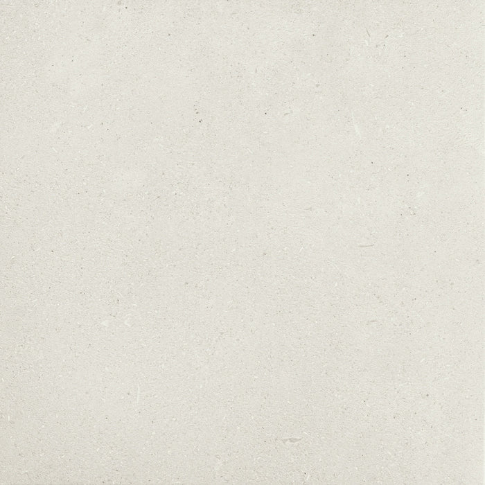 Daltile - Outlander 24 in. x 24 in. Porcelain Tile - Palazzo Moonlight