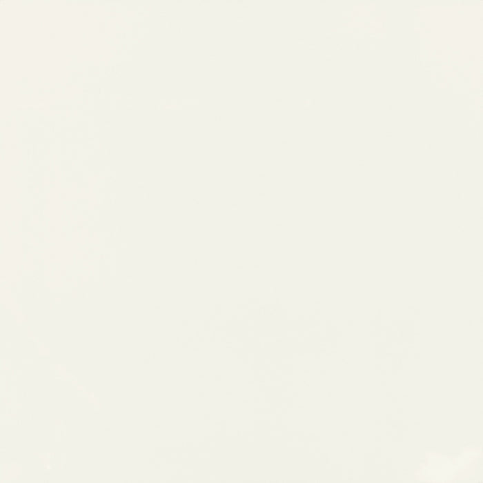 Daltile - Pure 12 in. x 12 in. Porcelain Tile - Polished Frost White