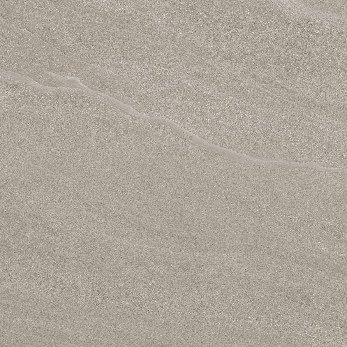 Daltile - Calgary 24 in. x 24 in. Porcelain Tile - Fog — Floorzz